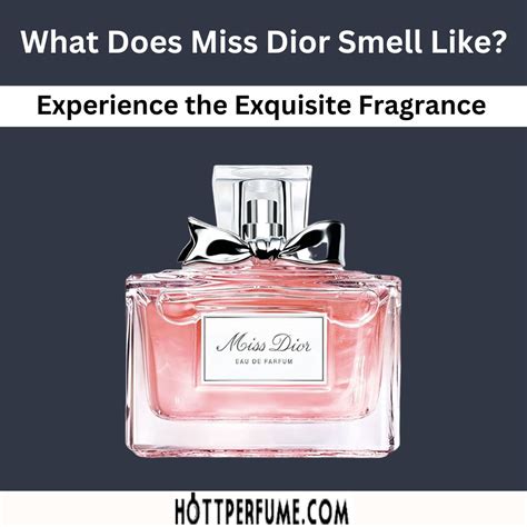 miss dior españa|what does Miss Dior perfume smell like.